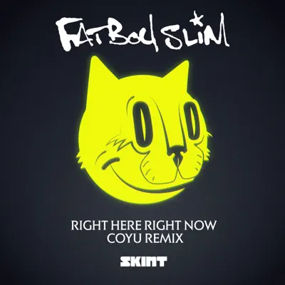 Right Here, Right Now (Coyu Remix) - Single - Fatboy Slim