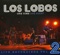Done Gone Blue - Los Lobos lyrics