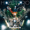 PIANO CRAZE - H ZETTRIO