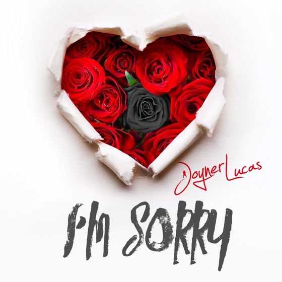 Cover artwork for I'm Sorry