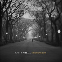 American Elm - Janek Gwizdala