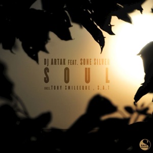 Soul (feat. Sone Silver) - Single