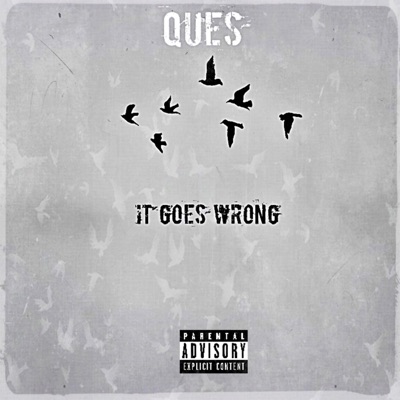 It Goes Wrong - Single