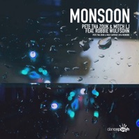 Monsoon (Pete Tha Zouk & Max Cartoux 2016 Rework) [feat. Robbie Wulfsohn] - Single - Pete tha Zouk & Mitch LJ
