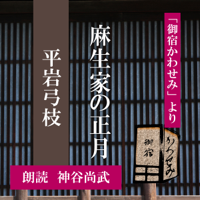 麻生家の正月 (御宿かわせみより): 「御宿かわせみ」より