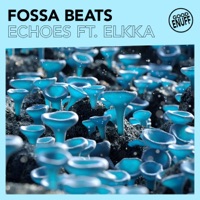 Echoes (feat. elkka) - Single - Fossa Beats