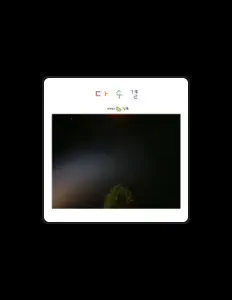 收听 새의 전부、观看音乐视频、阅读小传、查看巡演日期等 ！