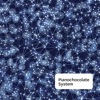 Spacetime