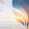 Mary (Miroslav Vrlik Remix)