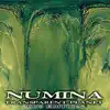 Numina - The Moments Before the Glass Shattered