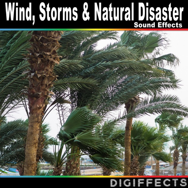 Cape Town, South Africa Heavy and Gusty Wind