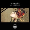 Wondering - Single
