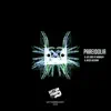 pareidolia - Life Ends at Midnight