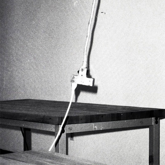 Cover artwork for Rattlesnake