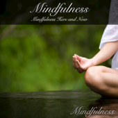 Mindfulness: Mindfulness Here and Now - Mindfulness