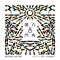 Paradise (feat. KStewart) - Matoma & Sean Paul lyrics
