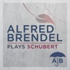 Alfred Brendel Plays Schubert artwork