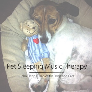 Pet Sleeping Music Therapy: Calm Sleep Lullabies for Dogs and Cats