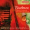 Violin Sonata No. 4 in A Minor, Op. 23: I. Presto - Tasmin Little & Martin Roscoe lyrics