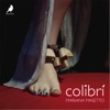 Colibri - Single