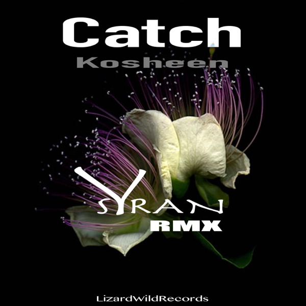 ПЕСНЯ CATCH KOSHEEN СКАЧАТЬ БЕСПЛАТНО ПЕСНЯ CATCH KOSHEEN СКАЧАТЬ БЕСПЛАТНО