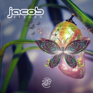 Reborn - Single