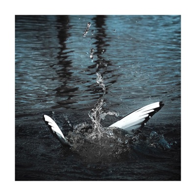 Valkea yö - Single