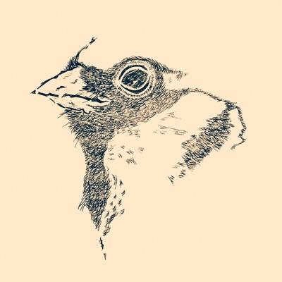 Arthur: Entardeceu - Single