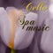 Violin (Relaxing Sounds) - Sylph Enigma lyrics