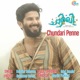 Chundari Penne From Charlie Single
