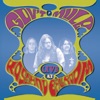 Gov't Mule