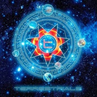 Album cover for Web by Terrestrials