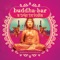 Buddha-Bar: Trip to India Mix artwork