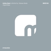 It's Me Not You / Between Worlds - Single - Infinity State