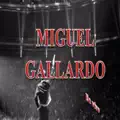 MIGUEL GALLARDO