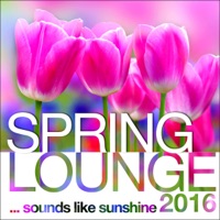 Spring Lounge 2016 - Sounds Like Sunshine - Various Artists