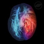 This Is Your Brain on Love