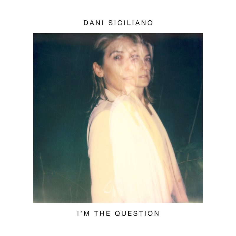 Album art for I'm the Question
