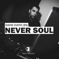 Never Soul - Single - David Cueto