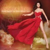 Andrea Berg & DJ Bobo - Diese Nacht ist jede Sünde wert