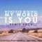 My World Is You (Dreamers Inc Remix) artwork