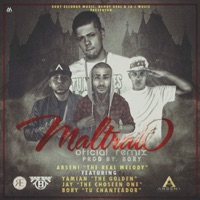 Maltrato (feat. Bory Tu Chanteador, Jay Boulevard & Yamian) - Single - Arseni