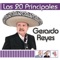 Abrazado de un Poste - Gerardo Reyes lyrics