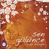 Sen Gülünce artwork