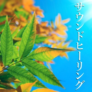 サウンドヒーリング-瞑想のための弛緩療法,アロマセラピー,メンタルヘルス