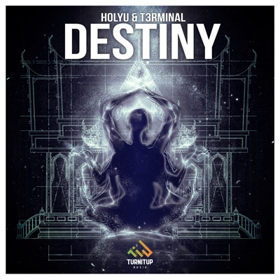 Destiny (Radio Edit) - Single