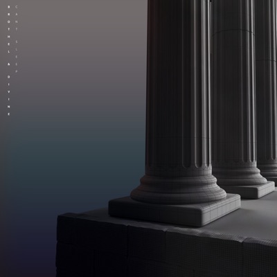 Can't Sleep - Single