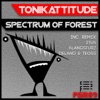 Spectrum Of Forest