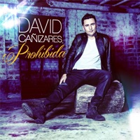David Cañizares - Prohibida