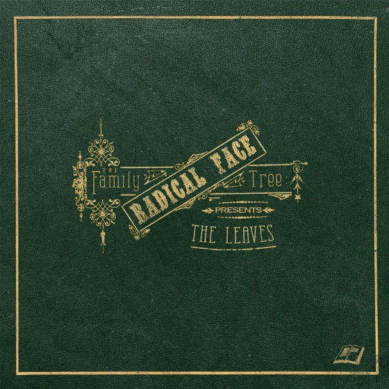 Cover artwork for Old Gemini